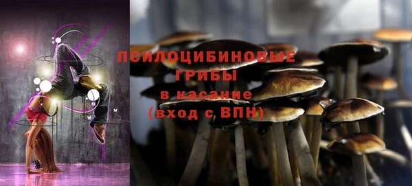 COCAINE Бородино