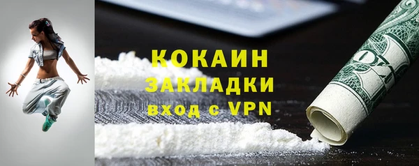 гидра Рославль