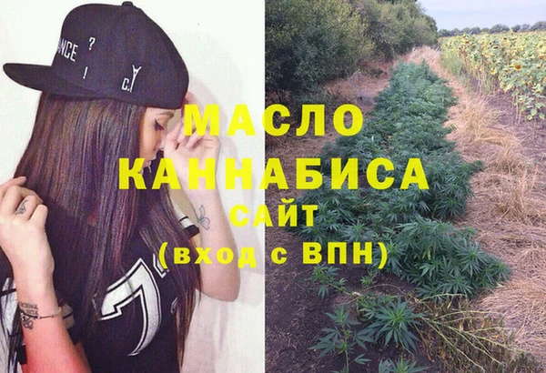 молекула духа Богданович