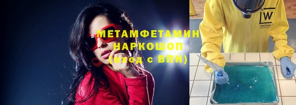 молекула духа Богданович