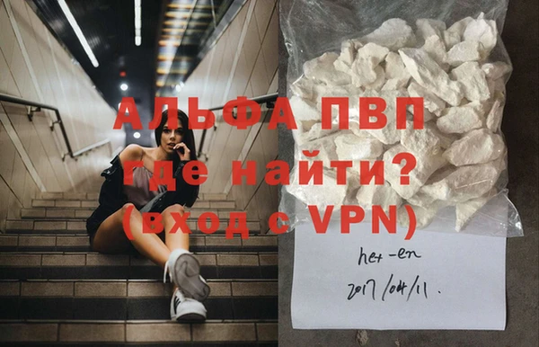 молекула духа Богданович