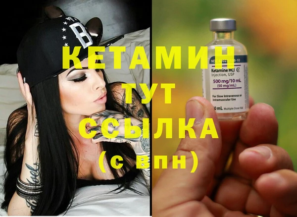 молекула духа Богданович