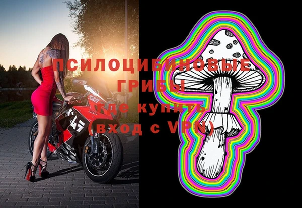 прущие крисы Богородицк