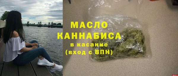 молекула духа Богданович