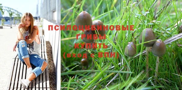 мескалин Бронницы