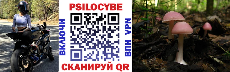 hydra ссылки  Кондопога  Галлюциногенные грибы MAGIC MUSHROOMS 